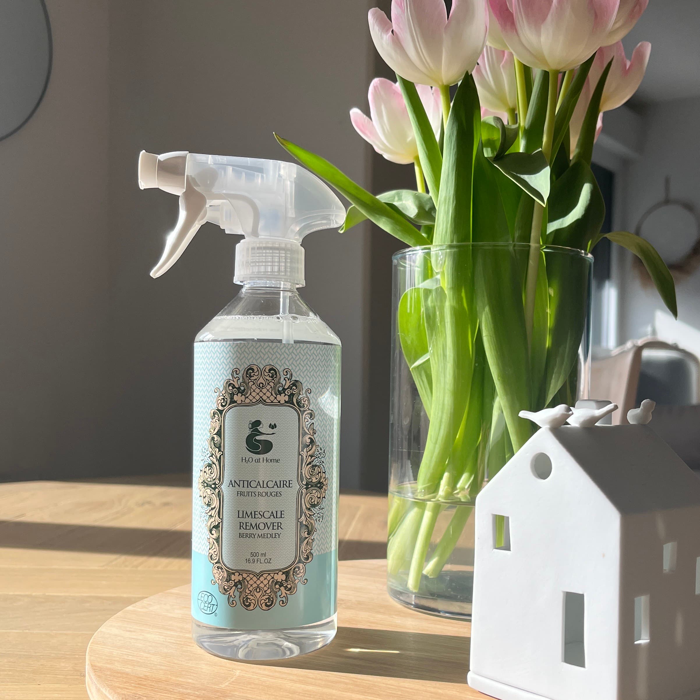 Anticalcaire Spray + Recharge