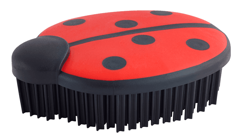 Brosse Coccinelle Picot
